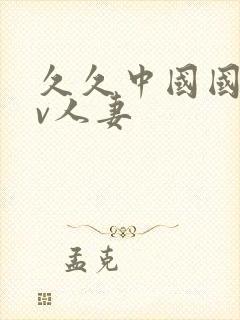 久久中国国产av人妻