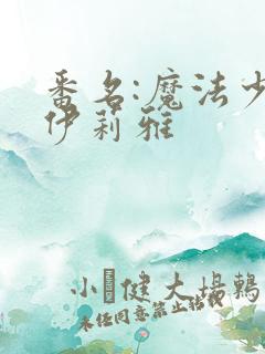 番名:魔法少女伊莉雅