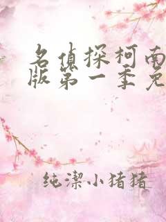 名侦探柯南中文版第一季免费观看