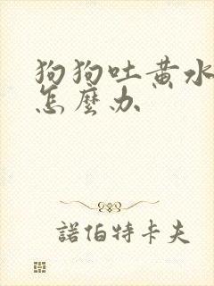 狗狗吐黄水腹泻怎么办