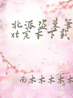 北派盗墓笔记txt完本下载