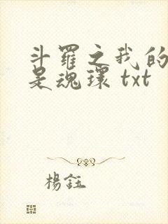 斗罗之我的武魂是魂环 txt