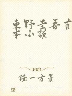 东野圭吾有多少本小说