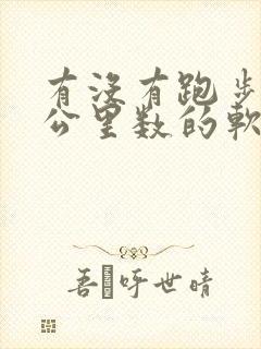 有没有跑步计时公里数的软件