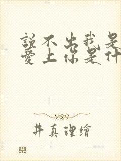 说不出我是真的爱上你是什么歌