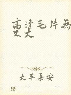 高清毛片无遮挡又大