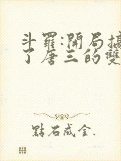 斗罗:开局搞没了唐三的双生武魂小说