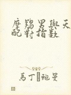 摩羯男与天秤女配对指数