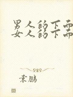 男人的下面插入女人的下面