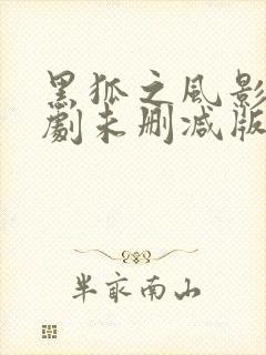 黑狐之风影电视剧未删减版