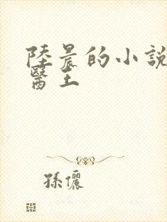 陆晨的小说全能医王