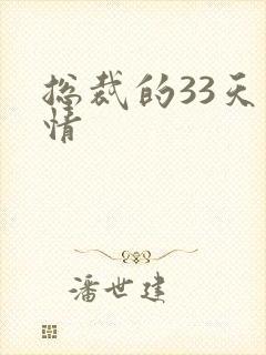 总裁的33天索情