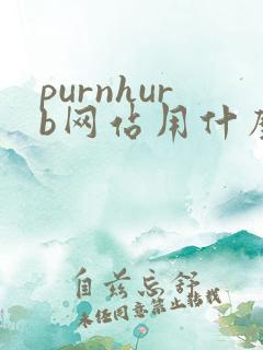 purnhurb网站用什么浏览器可以打开