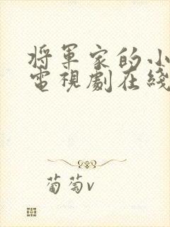 将军家的小娘子电视剧在线观看