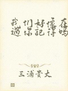 我们好像在哪见过你记得吗是什么歌