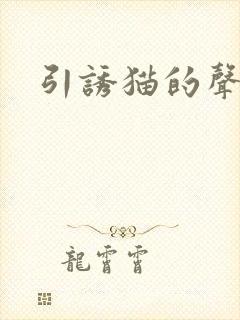 引诱猫的声音