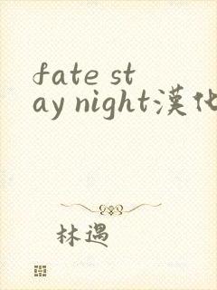 fate stay night汉化版下载