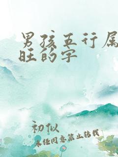 男孩五行属金最旺的字