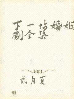 下一站婚姻连续剧全集