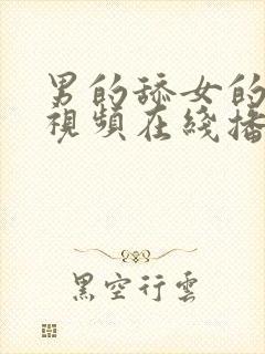 男的舔女的下面视频在线播放