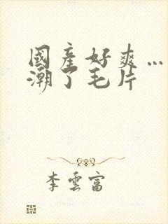 国产好爽…又高潮了毛片