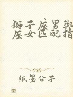 狮子座男与水瓶座女匹配指数