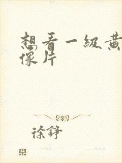 想看一级黄色录像片