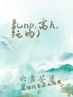 乱np,高h,纯肉)