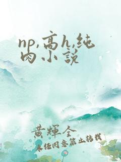 np,高h,纯肉小说