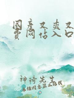 国产又爽又黄免费网站入口