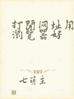 打开网址用什么浏览器好