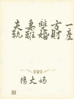 夫妻双方一方出轨离婚财产如何分割