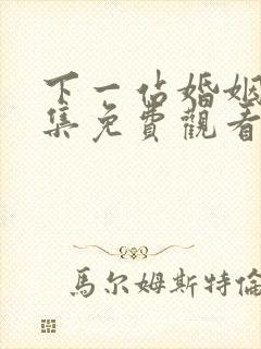 下一站婚姻剧全集免费观看