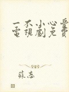 一不小心爱上你电视剧免费观看全集