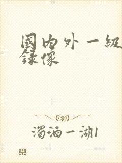 国内外一级黄色录像