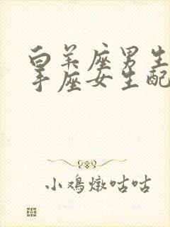 白羊座男生和射手座女生配对指数