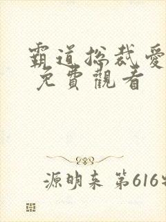 霸道总裁爱上我 免费观看