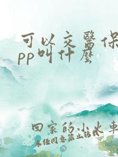 可以交医保的app叫什么