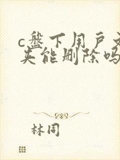 c盘下用户文件夹能删除吗