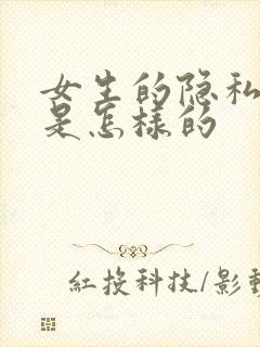 女生的隐私部位是怎样的