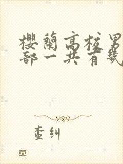 樱兰高校男公关部一共有几季