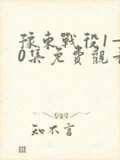 豫东战役1—40集免费观看