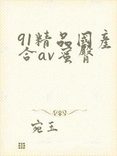 91精品国产综合av蜜臀