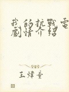 我的抗战电视剧剧情介绍