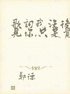 歌词我没后悔遇见你,只是觉得好遗憾