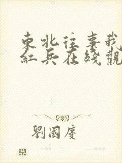 东北往事我叫赵红兵在线观看完整版免费的