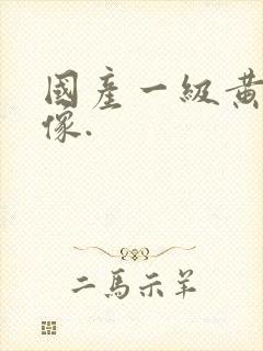 国产一级黄色录像.