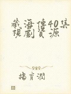 藏海传40集电视剧资源