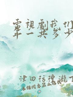 电视剧我们这十年一共多少集