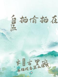 自拍偷拍在线一区